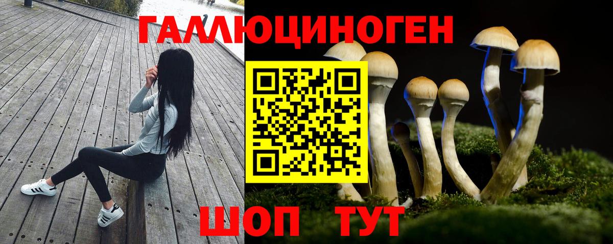 Псилоцибиновые грибы Psilocybe  Вход с VPN  Долгопрудный 